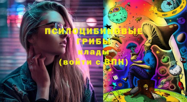 прущие грибы Верея