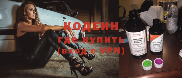 прущие грибы Верея