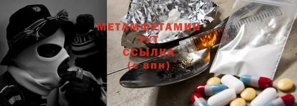 прущие грибы Верея