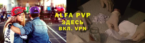 прущие грибы Верея