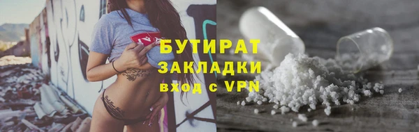прущие грибы Верея
