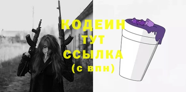 прущие грибы Верея