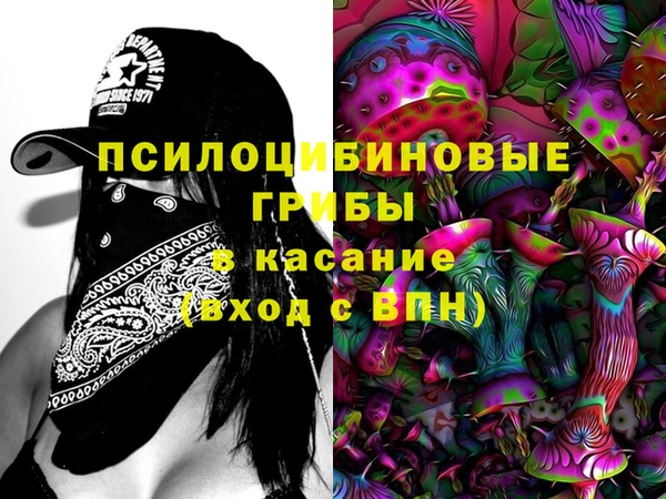 прущие грибы Верея