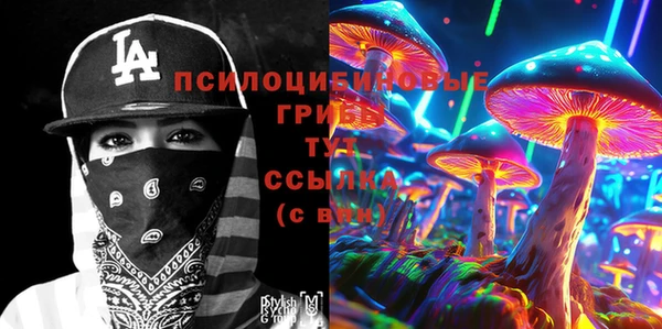 прущие грибы Верея