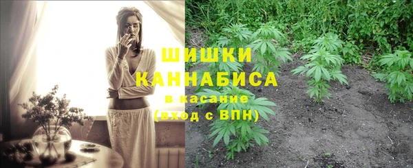 прущие грибы Верея